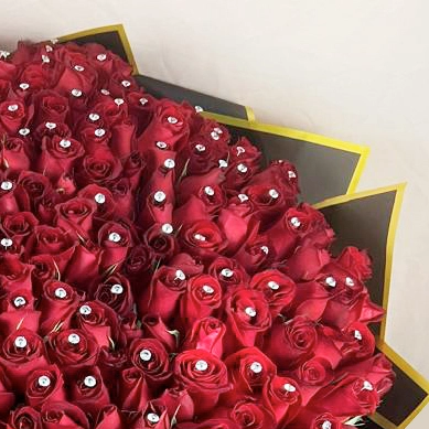 RAMO DE 500 ROSAS