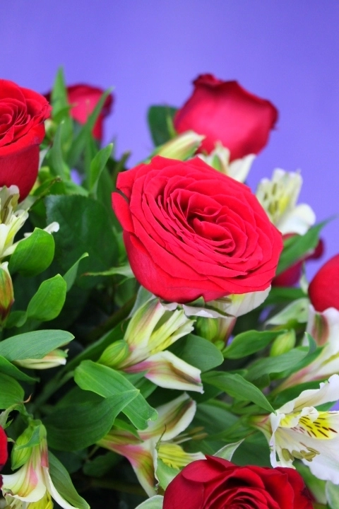 24 Rosas en Jarrón