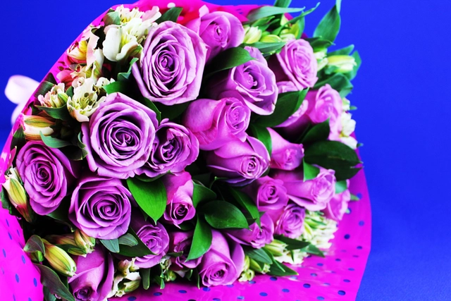 Ramo 24 Rosas Lila