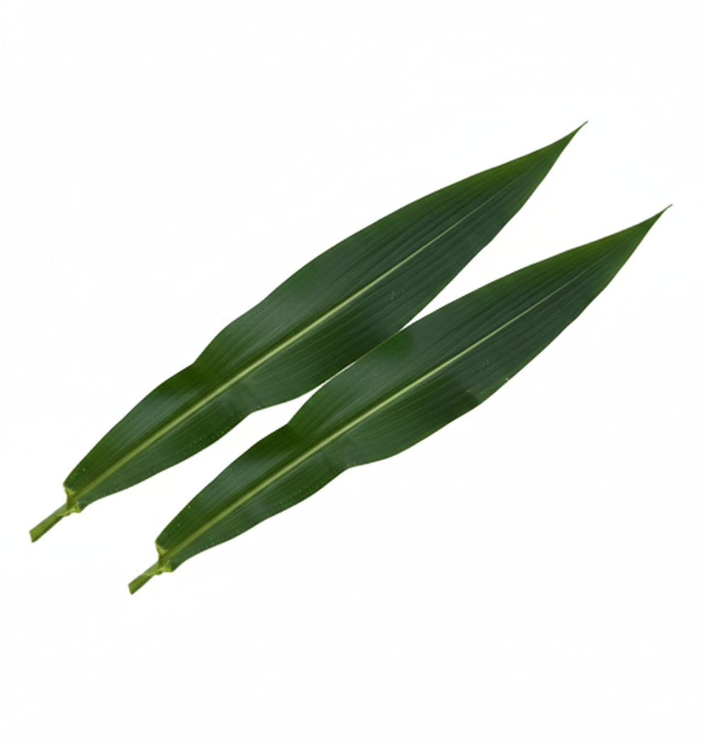 Hoja de maiz