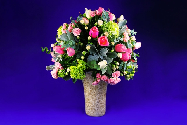 Rosa Glamour